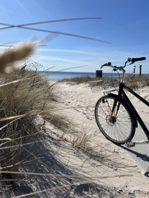 Rental bikes Fårö Gotland | Hyrcyklar på Fårö Sudersand med OK.GO!